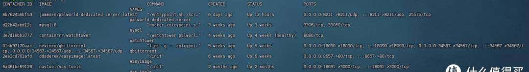 新手必读,一文掌握docker核心技巧,轻松成为NAS高手—docker