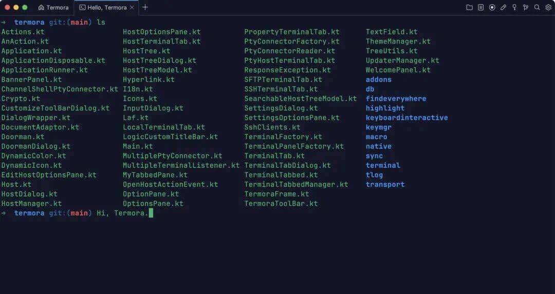 SSH/SFP管理太繁琐?试试Termora