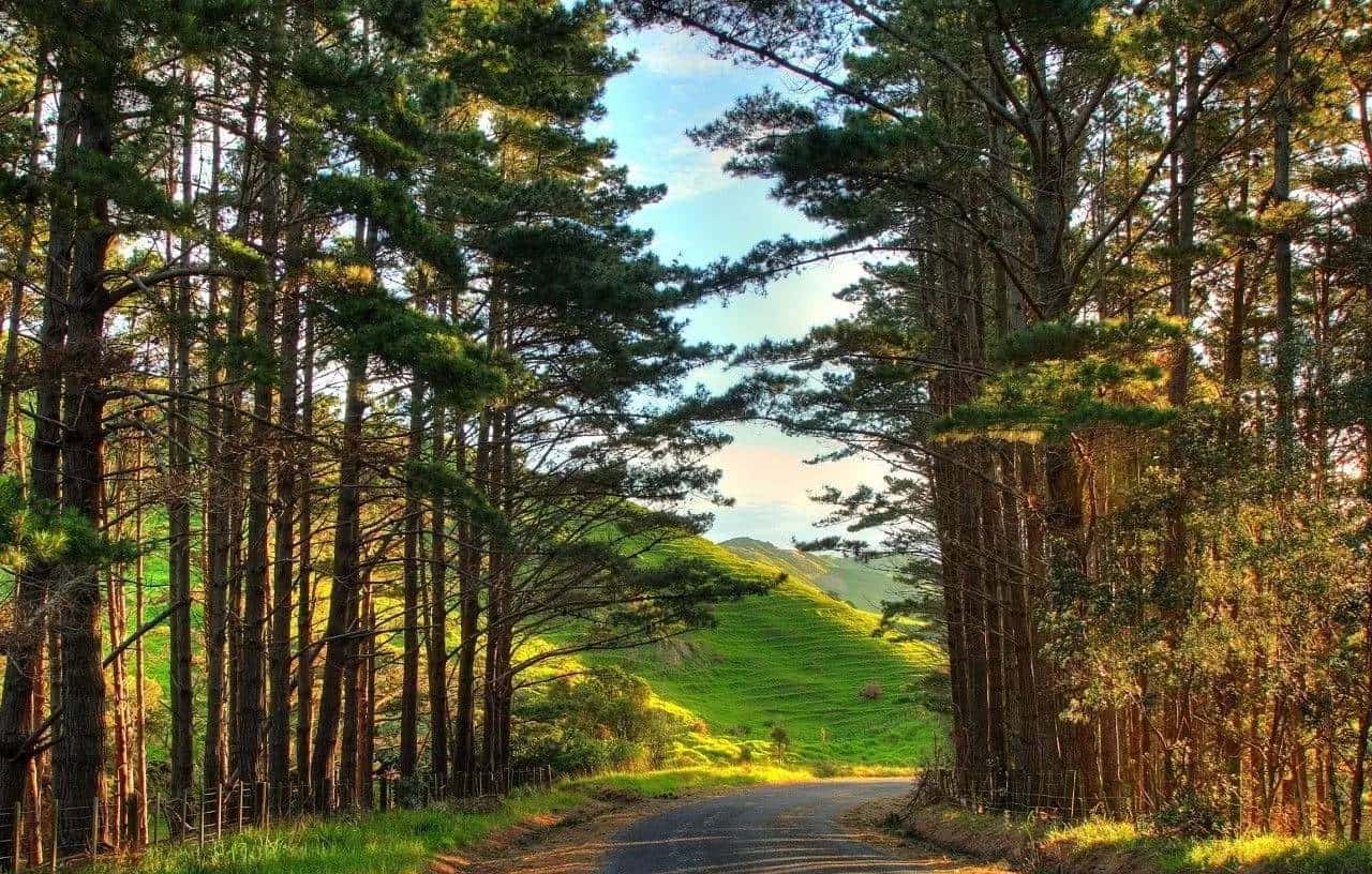 天黑没灯就是瞎！帮你挑了13款灯应付各种黑夜！