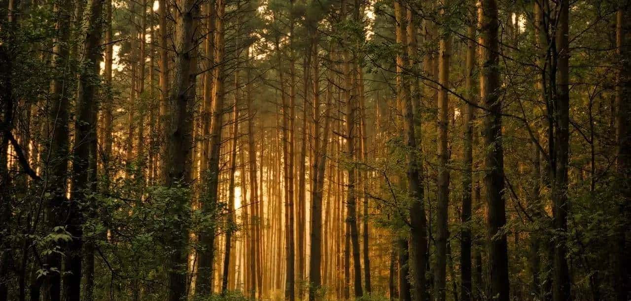 天黑没灯就是瞎！帮你挑了13款灯应付各种黑夜！