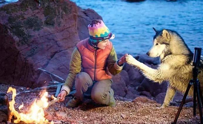 天黑没灯就是瞎！帮你挑了13款灯应付各种黑夜！