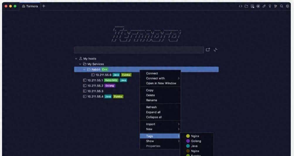 SSH/SFP管理太繁琐?试试Termora - 鹿快