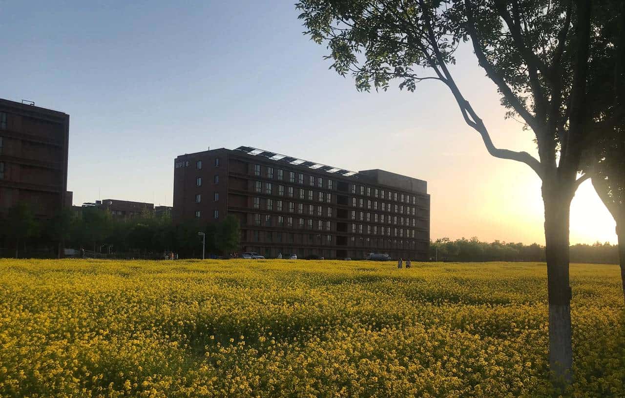 学术界科研(research)与工业界研发(R&D)的区别 - 鹿快