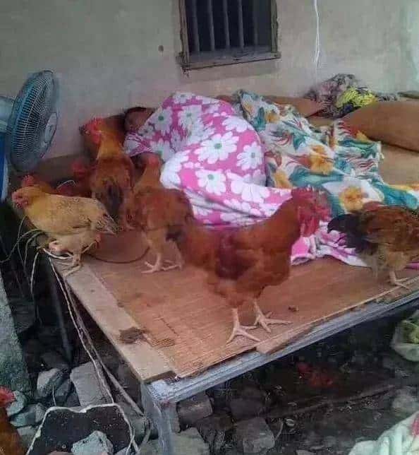 还觍个脸喊穷吗?看看他们的日子,再看看你自己