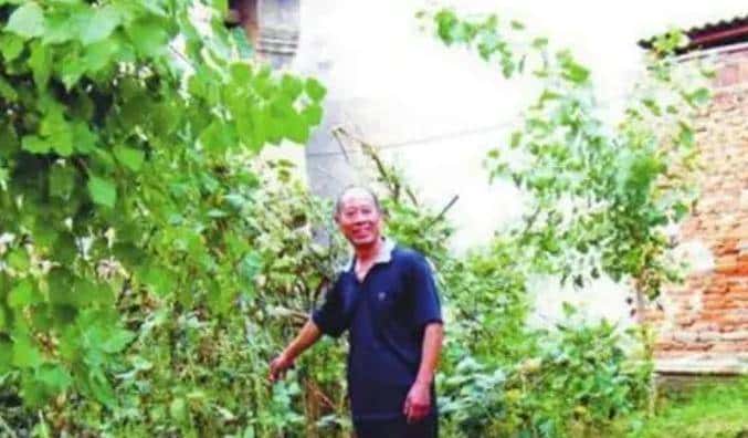 78年河南树坑出现红陶片，一人挖出陶缸，24年后才知是国宝中国宝