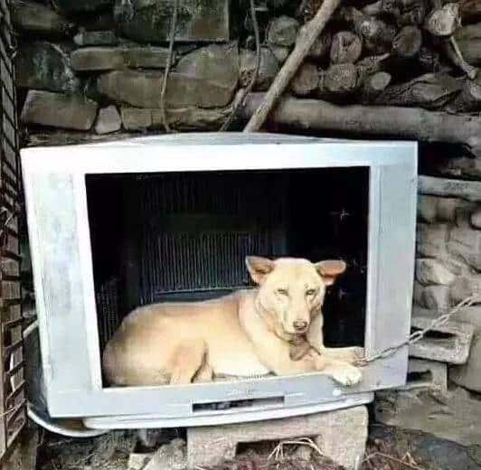 还觍个脸喊穷吗?看看他们的日子,再看看你自己