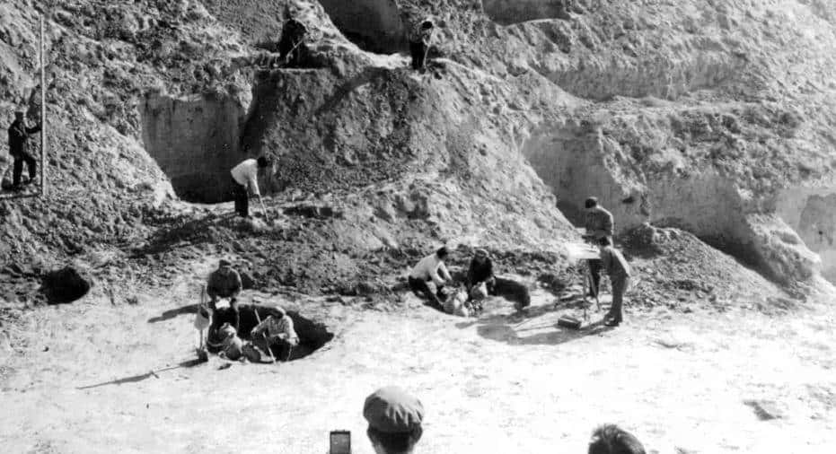 78年河南树坑出现红陶片，一人挖出陶缸，24年后才知是国宝中国宝