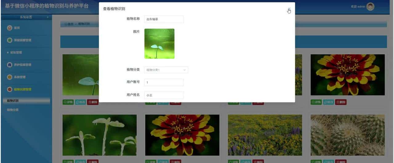 基于微信小程序的植物识别与养护平台系统计算机毕业设计项目源码文档 - 鹿快