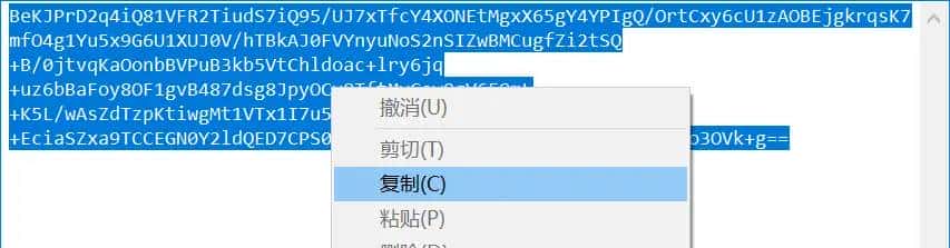 使用Navicat_Keygen_Patch5破解Navicat Premium