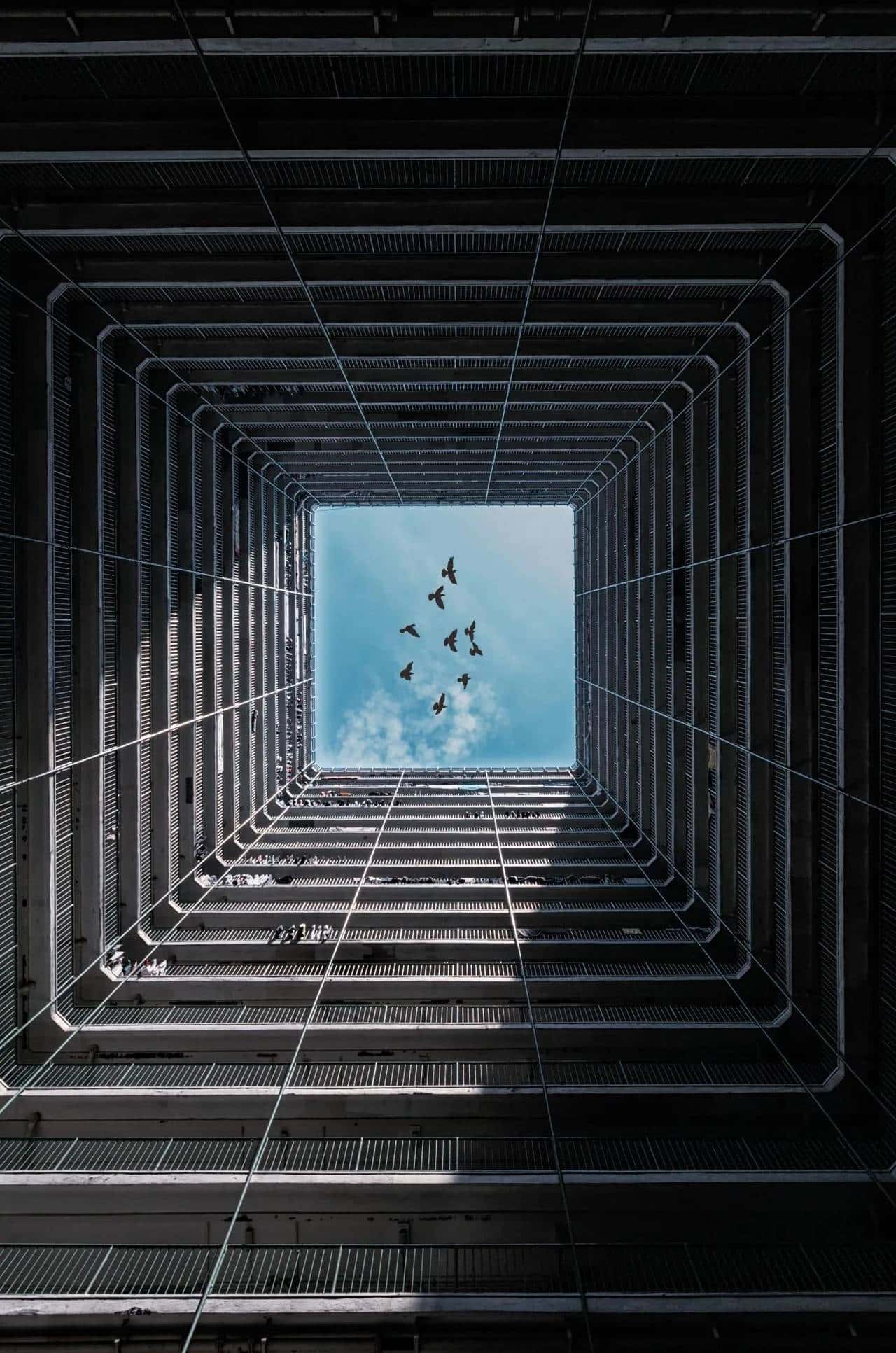 换个角度看问题,超级有趣的思维题:求 α + β 的值