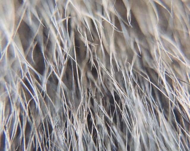 浑圆桩“毛发探寻”心法，唤醒你沉睡的感知开关！附终极指引