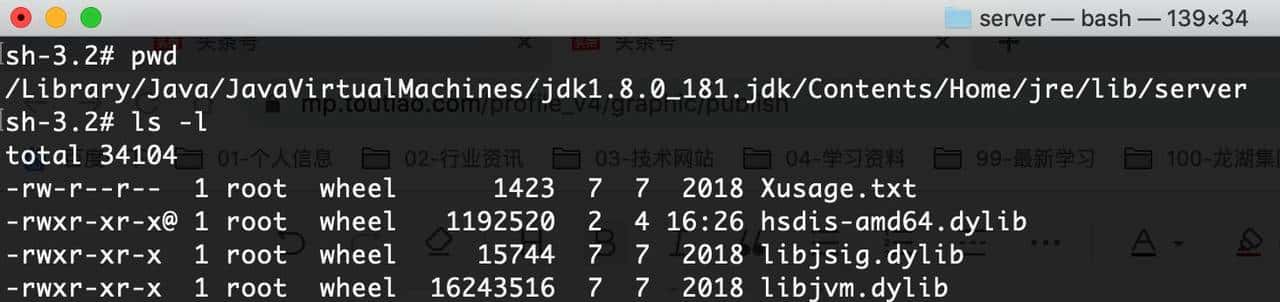 干货：MAC上轻松搞定查看Java汇编代码