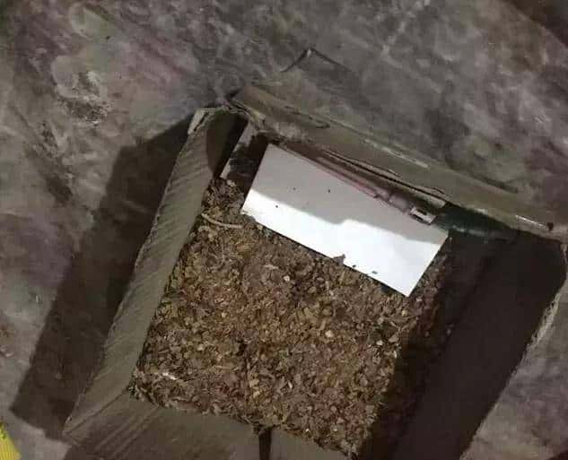 还觍个脸喊穷吗?看看他们的日子,再看看你自己