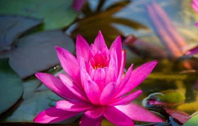 “男人嘴上玩笑，心里真情：教你读懂他的深意”