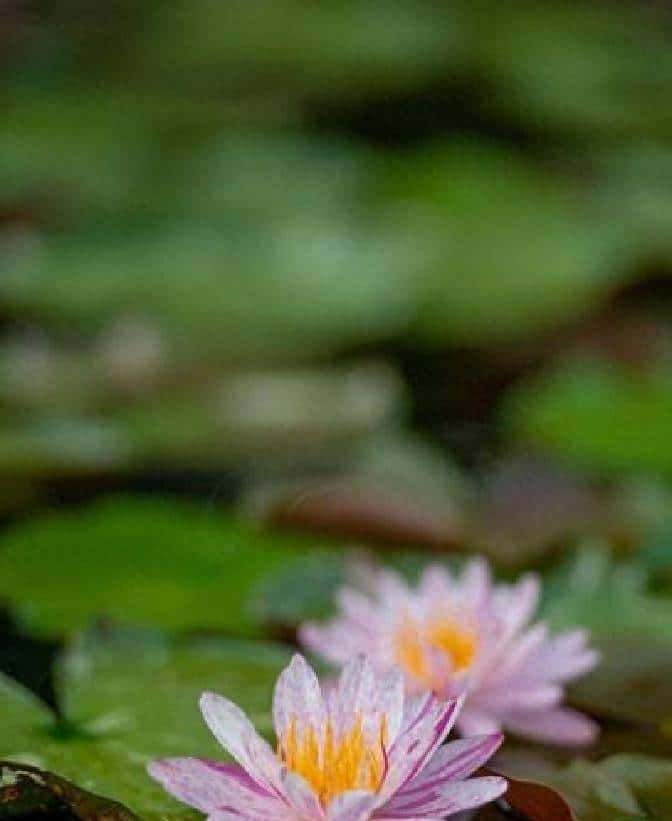 “男人嘴上玩笑，心里真情：教你读懂他的深意” - 鹿快