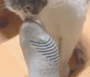 顽固的鼻炎，该拿它怎么办？