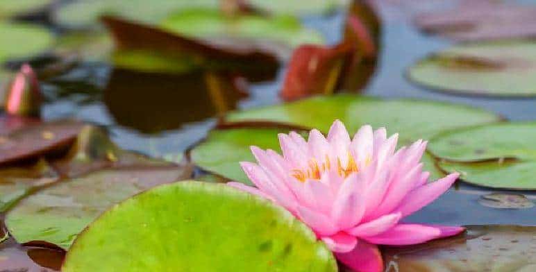 “男人嘴上玩笑，心里真情：教你读懂他的深意”