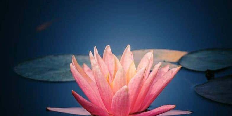 “男人嘴上玩笑，心里真情：教你读懂他的深意”