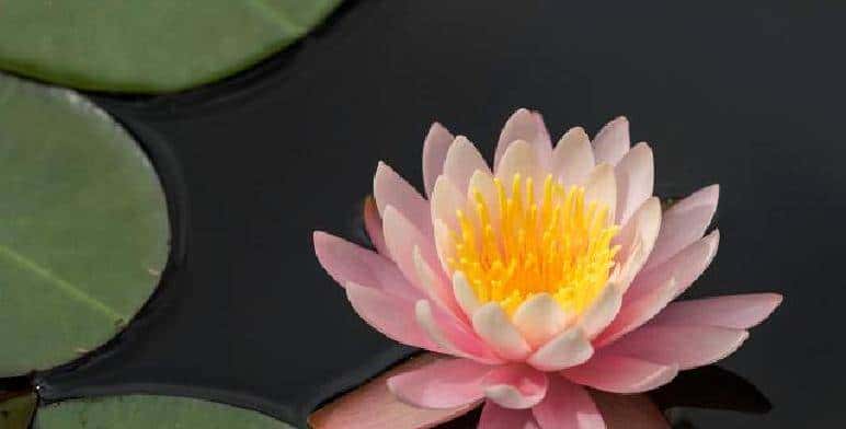 “男人嘴上玩笑，心里真情：教你读懂他的深意”