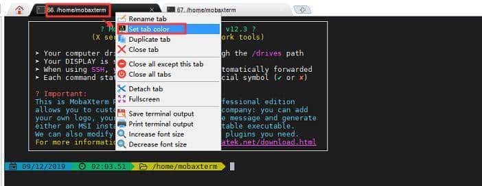 SSH 客户端神器之 MobaXterm