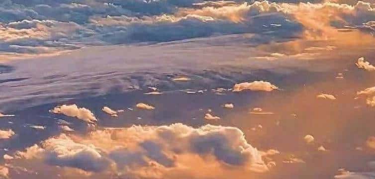 日进一步,sql语句之排序语句order by - 鹿快