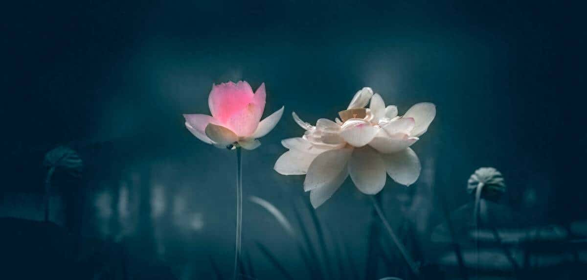 十分钟教会你用 docker 创建 jmeter 容器，实现性能测试 - 鹿快