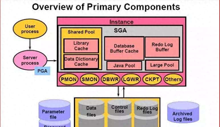 Oracle-架构、原理、进程 - 鹿快