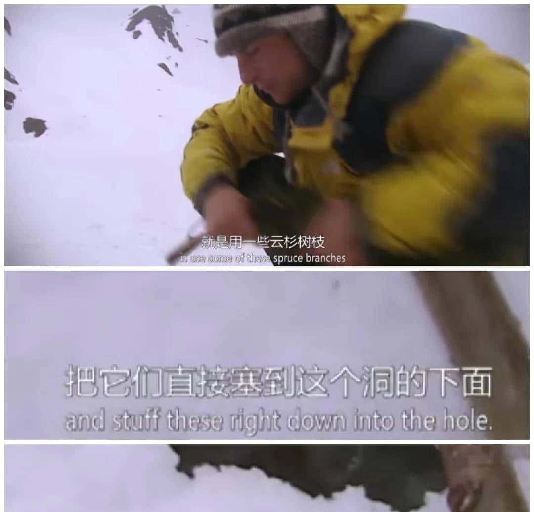 荒野求生/贝爷的生存技巧1.2