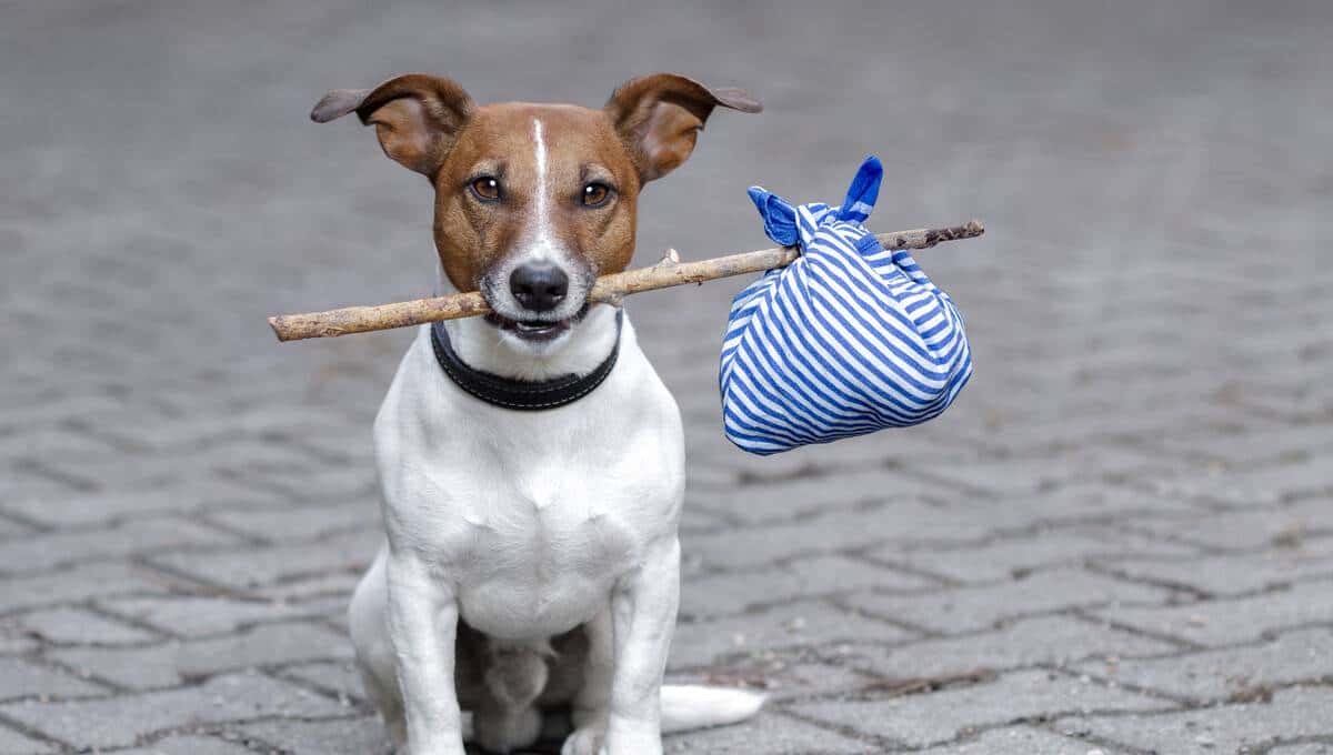 @Autowired与@Resource区别 - 鹿快