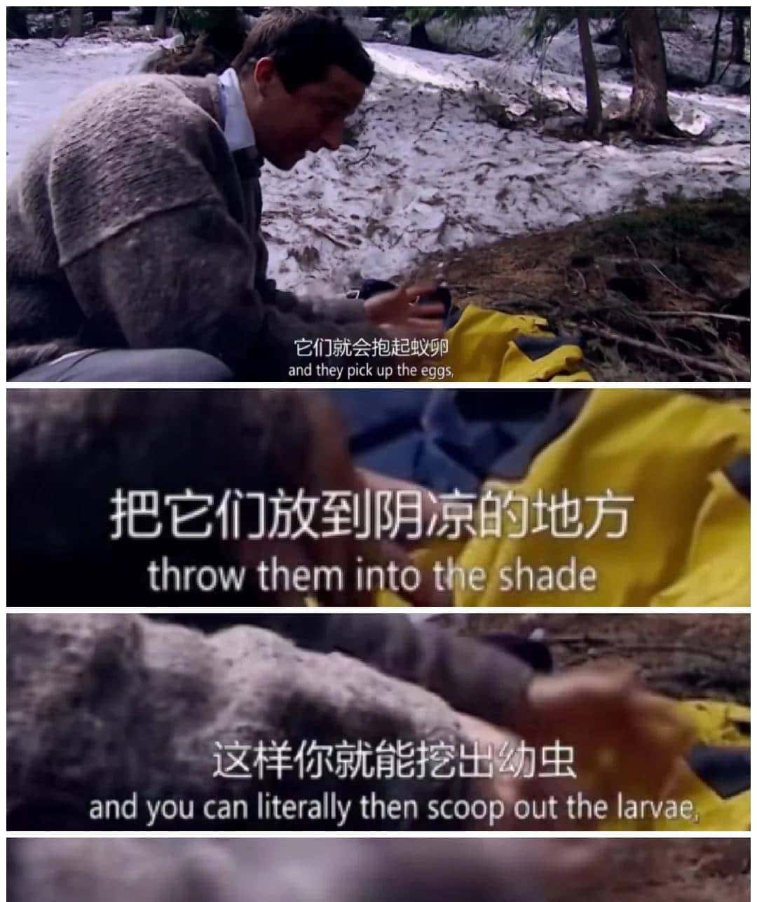 荒野求生/贝爷的生存技巧1.2