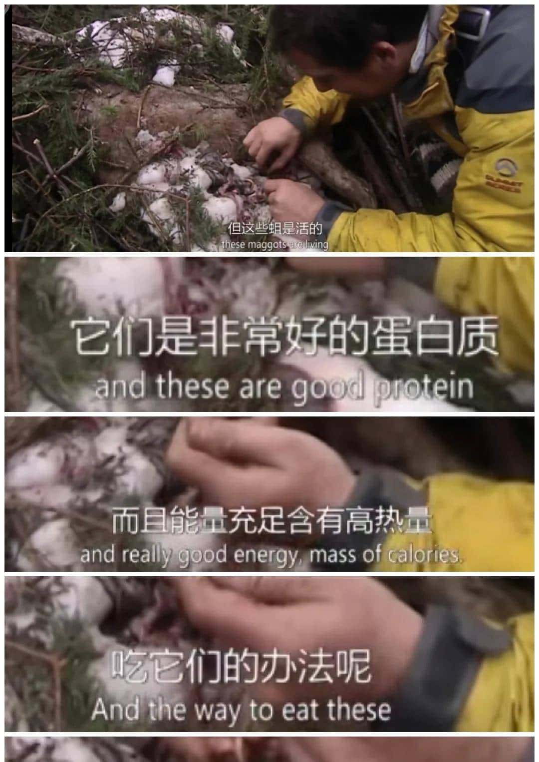 荒野求生/贝爷的生存技巧1.2