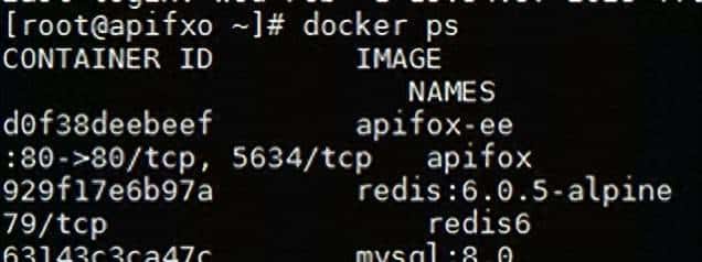 【技术】Apifox——极度契合公司私有化部署的管理接口工具 - 鹿快