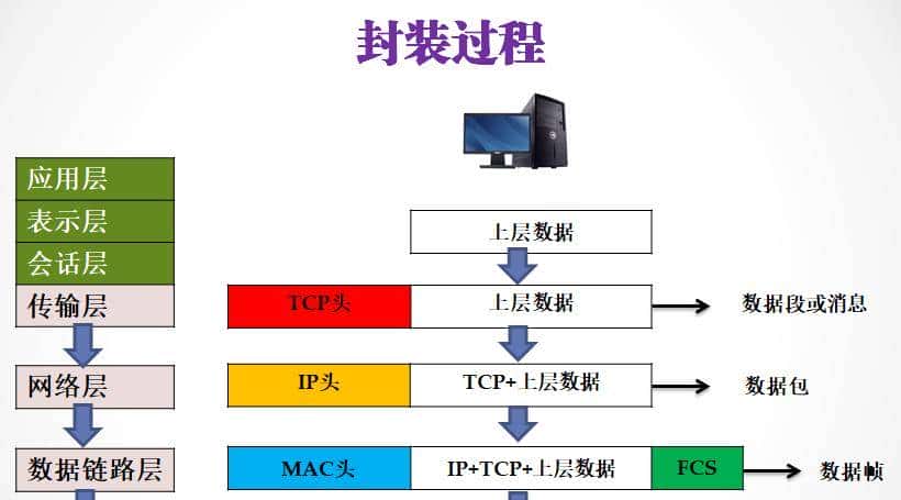 计算机软件水平考试《网络工程师》-第1章 网络体系结构