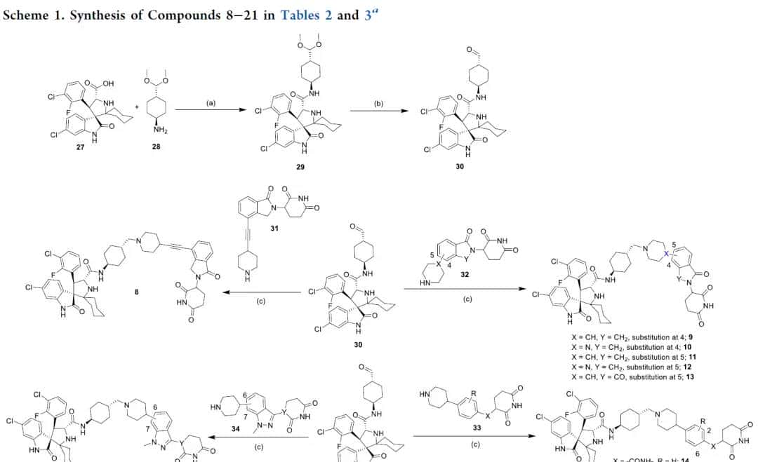 【颠覆突破】首个口服 MDM2 降解剂 MD-4251：单剂量实现肿瘤完全消退的全解析