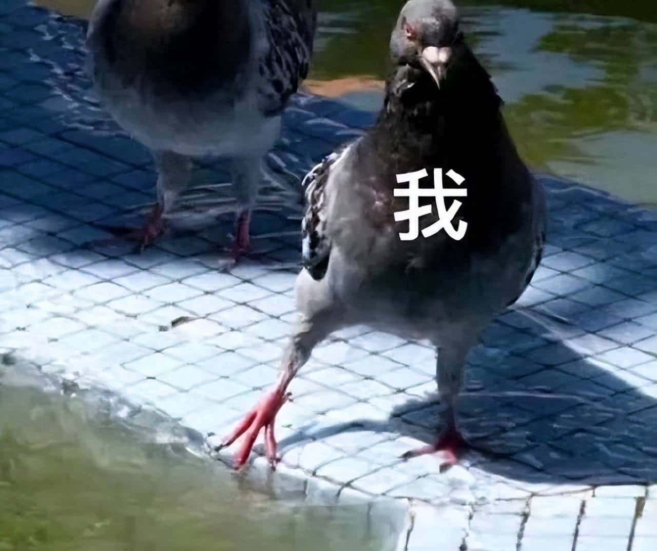 Math类中round、ceil和floor方法的功能各是什么？ - 鹿快