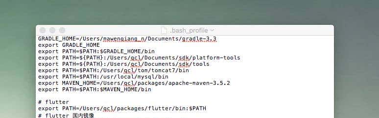 创建属于自己的第一个flutter项目