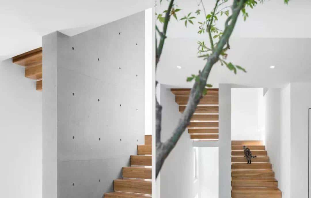 漂泊10年，夫妻回顺德改造4层祖宅：找回人情味