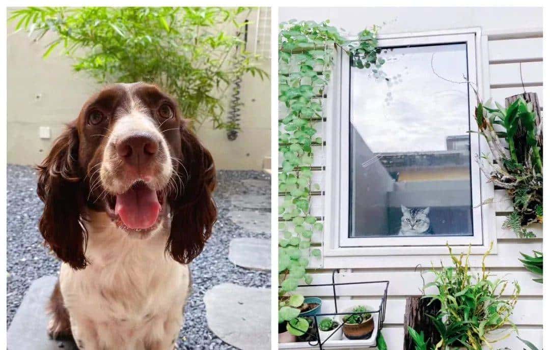 漂泊10年，夫妻回顺德改造4层祖宅：找回人情味