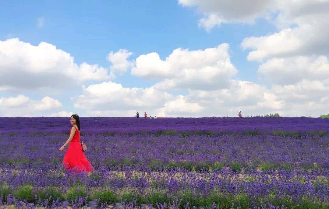 你们千呼万唤的红裙子，好看的都在这里了