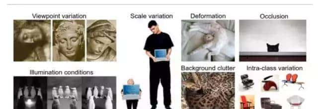 计算机视觉到底怎么给图像分类？这5种方法供你选