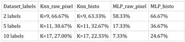 计算机视觉到底怎么给图像分类？这5种方法供你选
