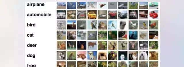 计算机视觉到底怎么给图像分类？这5种方法供你选