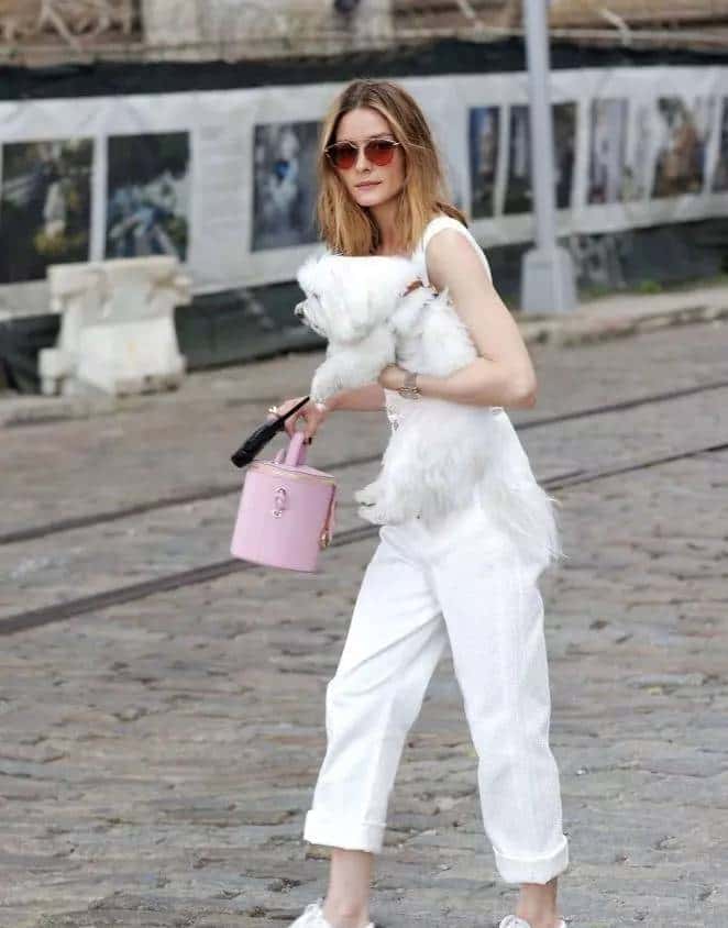 是唐艺昕的蓝纱裙仙气十足,还是杨颖的黑白裙更优雅?