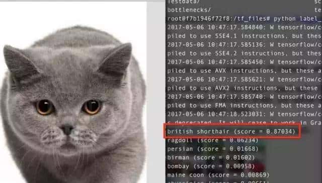计算机视觉到底怎么给图像分类？这5种方法供你选
