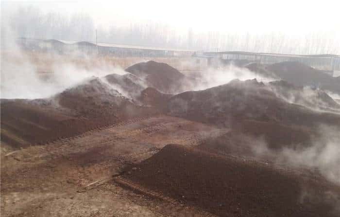 羊粪养花好？3个害处不知道，越养越“心烦”，还很容易养死