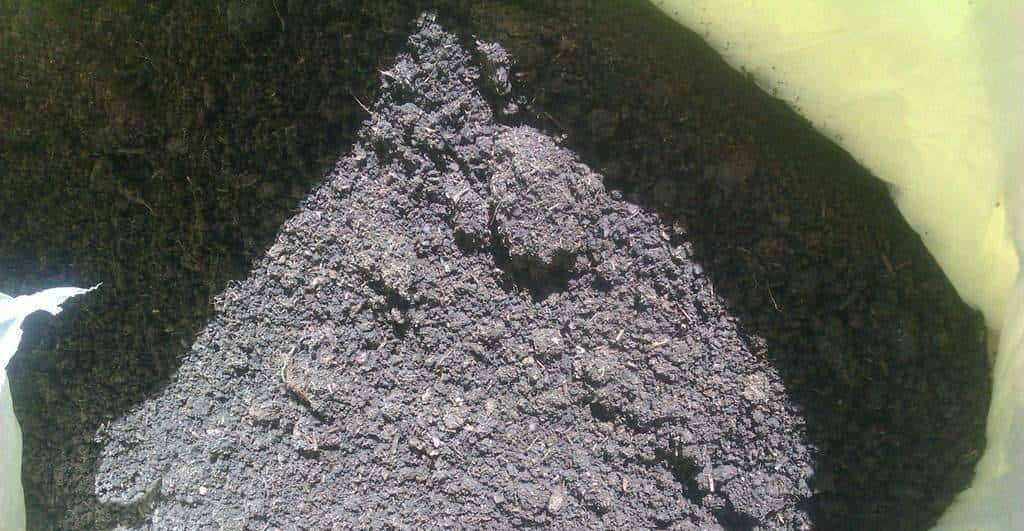 羊粪养花好？3个害处不知道，越养越“心烦”，还很容易养死