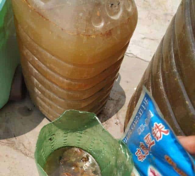 羊粪养花好？3个害处不知道，越养越“心烦”，还很容易养死