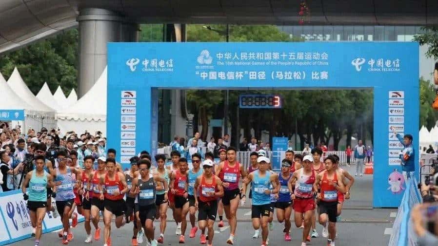 志愿者Vlog丨“马”上有戏!香港“小海豚”开启湾区联动新姿态 - 鹿快