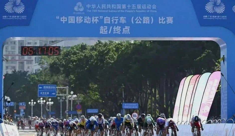 志愿者Vlog丨“马”上有戏!香港“小海豚”开启湾区联动新姿态 - 鹿快