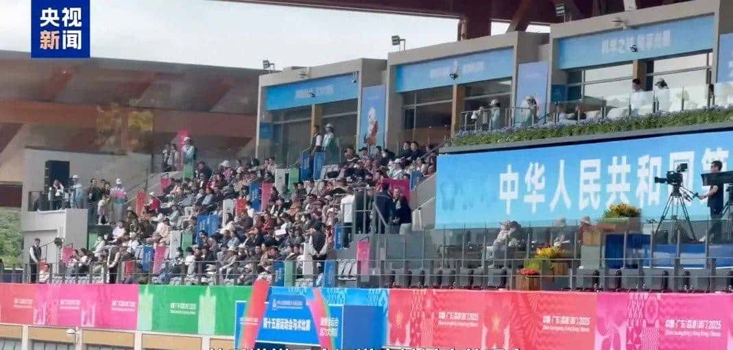 志愿者Vlog丨“马”上有戏!香港“小海豚”开启湾区联动新姿态 - 鹿快